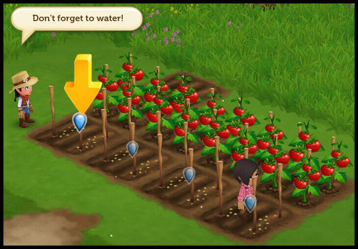 Tomatoes need to be watered in FarmVille